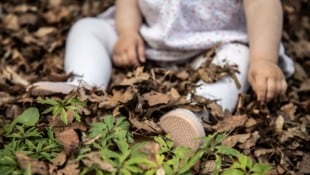 Die Vergewaltigungen sollen im Kindesalter begonnen haben.