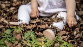 Die Vergewaltigungen sollen im Kindesalter begonnen haben.