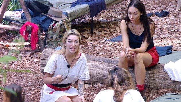 Ariel entwickelt sich im Dschungelcamp immer mehr zur Drama-Queen. An Tag vier zuckte die ...