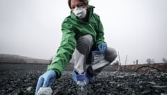 Greenpeace fordert die Entfernung von belastetem Material. Besonders, wenn es sich bei Schulen, ...