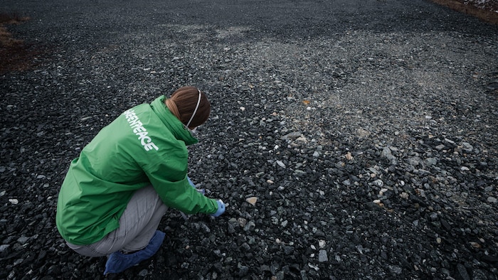 Greenpeace schlug nach dem positiven Test auf Asbest in sämtlichen Proben Alarm.