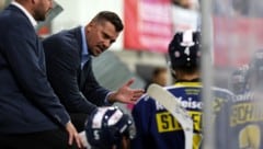 Marcel Rodman gastiert mit seinen Eisbären in seiner Geburtstadt.