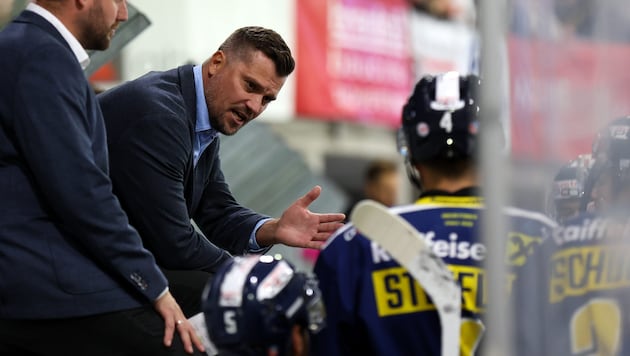 Marcel Rodman gastiert mit seinen Eisbären in seiner Geburtstadt.