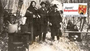 Kurz vor dem Kriegsende im südlichen Burgenland: Flüchtlinge aus dem Pinkatal suchen im Punitzer ...