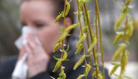 Rückblickend betrachtet verlief die Pollensaison 2025 ungewöhnlich schwach. Die ...