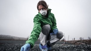 Greenpeace warnt vor weiteren Ablagerungen – auch in Niederösterreich!