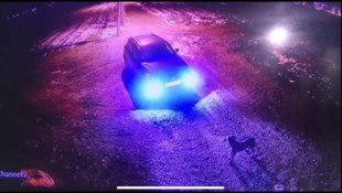 Sichtlich verwirrt schaut der Hund dem davonfahrenden Auto nach.