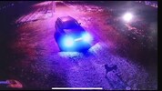 Sichtlich verwirrt schaut der Hund dem davonfahrenden Auto nach.