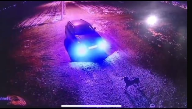 Sichtlich verwirrt schaut der Hund dem davonfahrenden Auto nach.