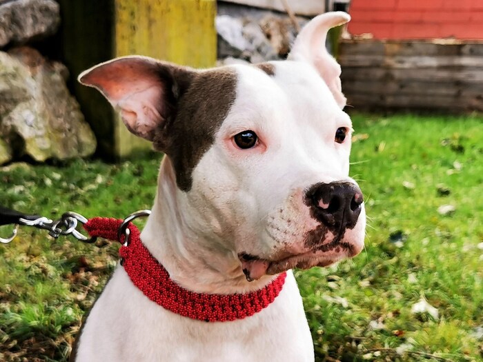 Trauriger Blick zum Eingang: Ob heute jemand für mich kommt?