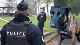 Polizeihund „Dino“ starb während eines Einsatzes an einem Herzstillstand. 