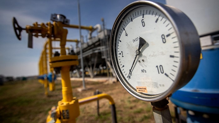 Die EU-Verordnung sieht vor, den Import von russischem Flüssigerdgas (LNG) bis Ende 2026 und den ...