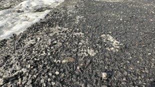 Für die Freiheitlichen laufen die Gegenmaßnahmen im Asbest-Skandal zu langsam.