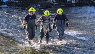 Die FF Bad Goisern im nasskalten Einsatz