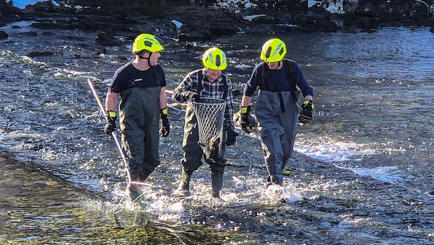 Die FF Bad Goisern im nasskalten Einsatz