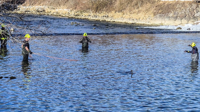 Die Florianis waren schwer gefordert