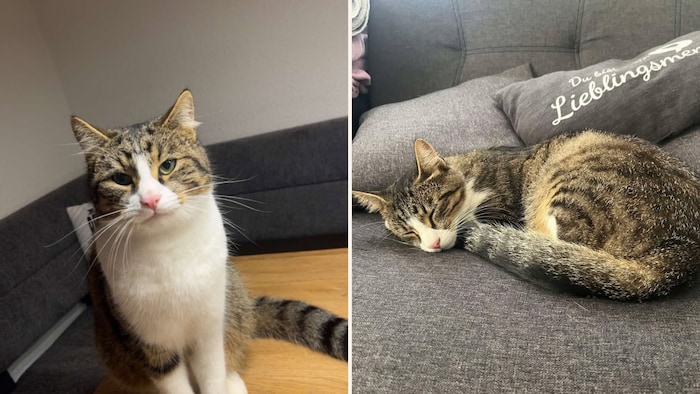 Wer sind seine Herzensmenschen?