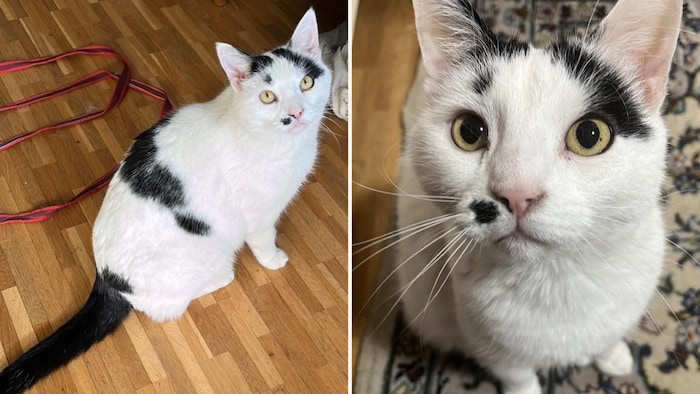 Bitte komm nach Hause!