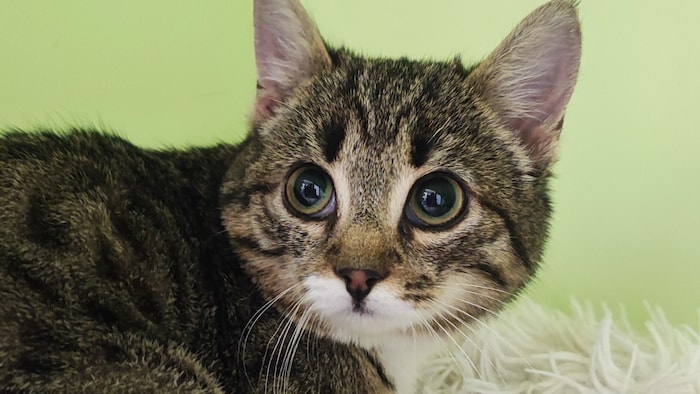 Möchte zurück ins traute Bettchen!