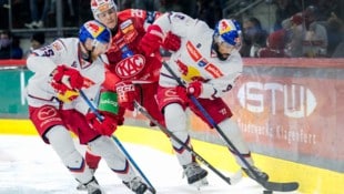 Eisbulle Wukovits (rechts) ist auf dem besten Weg zurück.