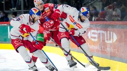 Eisbulle Wukovits (rechts) ist auf dem besten Weg zurück.