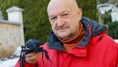 Für Tunnelgegner Thomas Neff ist der schwarze Grubenlaufkäfer das Symbol des Widerstands und ...