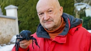 Für Tunnelgegner Thomas Neff ist der schwarze Grubenlaufkäfer das Symbol des Widerstands und ...