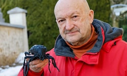 Für Tunnelgegner Thomas Neff ist der schwarze Grubenlaufkäfer das Symbol des Widerstands und ...