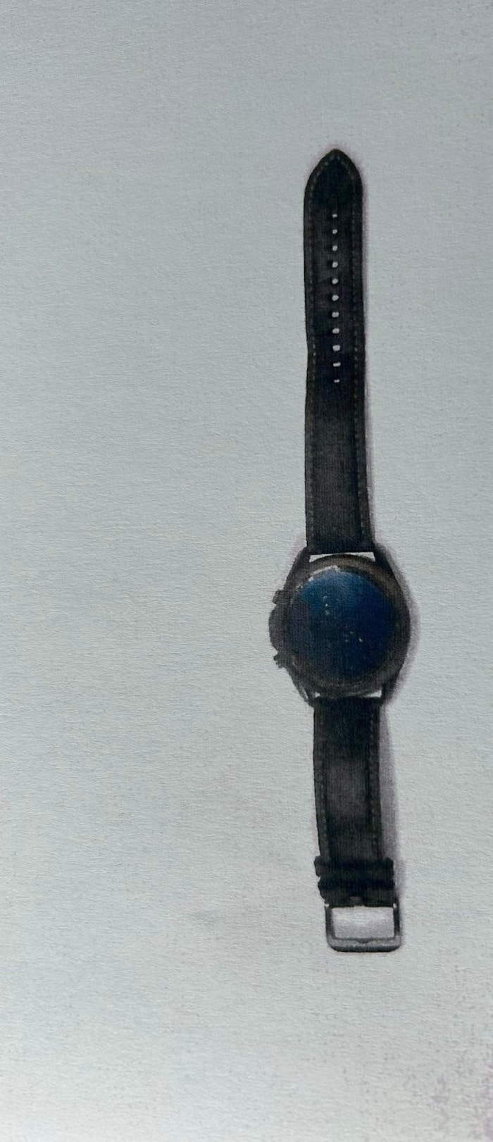 Die Smartwatch von Christian Pilnacek wurde beim Auffinden der Leiche sichergestellt.