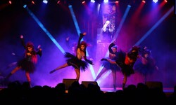 Der Showblock wird die Besucher wieder begeistern.