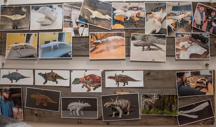 Fast ein halbes Jahr dauert die Herstellung eines Dinosauerierexponates.