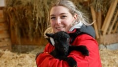 Lamm „Nathalie“ hat erst vor wenigen Tagen das Licht der Welt erblickt.