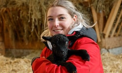 Lamm „Nathalie“ hat erst vor wenigen Tagen das Licht der Welt erblickt.