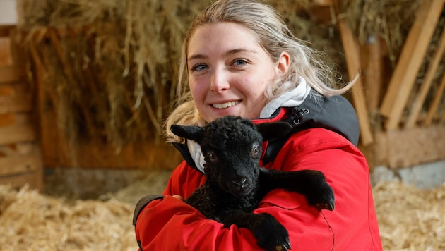 Lamm „Nathalie“ hat erst vor wenigen Tagen das Licht der Welt erblickt.