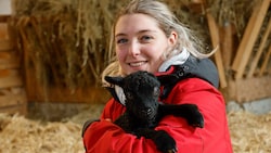 Lamm „Nathalie“ hat erst vor wenigen Tagen das Licht der Welt erblickt.