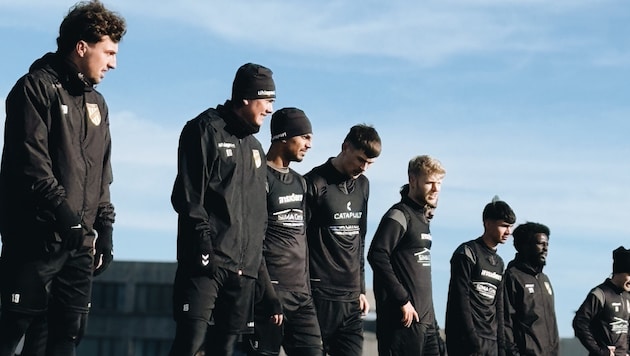 Können die Lustenauer im Frühjahr den Aufstieg in die Bundesliga schaffen?