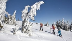 Das Hochwechselgebiet lohnt immer wieder den Aufstieg.
