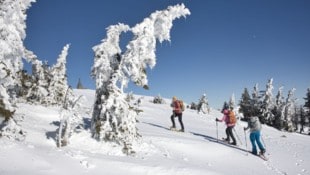 Das Hochwechselgebiet lohnt immer wieder den Aufstieg.