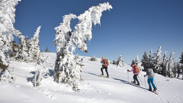 Das Hochwechselgebiet lohnt immer wieder den Aufstieg.