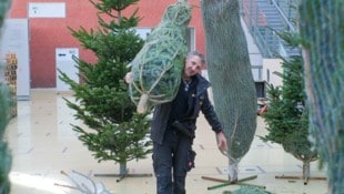 Mitarbeiter von KOOP Live-Marketing sind mit den Aufbauarbeiten beschäftigt.