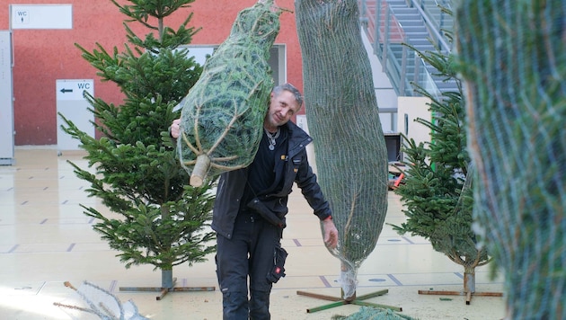 Mitarbeiter von KOOP Live-Marketing sind mit den Aufbauarbeiten beschäftigt.