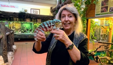 Helga Happ kann im Zoo keine Reptilien mehr aufnehmen.