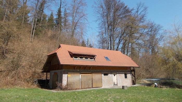 Hier sollte am Kreuzbergl ein Tierasyl entstehen.
