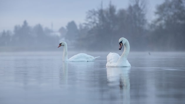 Im Osten bleibt es weiterhin kühler, als im Westen Österreichs.