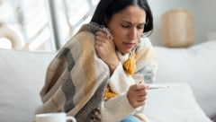 Sobald der Erreger erkannt wird, startet der Körper seine Abwehrmechanismen.