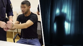 Ein 27-jährige Slowake musste sich am Donnerstag am Wiener Landesgericht verantworten.