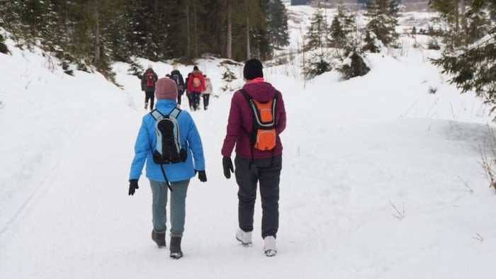 Der Waldweg ist meist stark frequentiert.