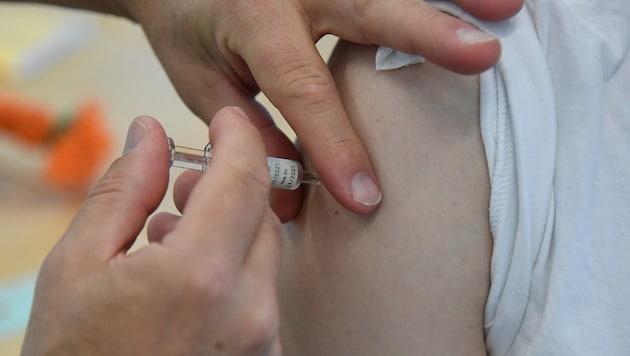 Ab 2. Februar startet in den öffentlichen Impfstellen des Landes die Zeckenschutz-Impfaktion.