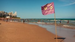 Auf dem Strand sollen Schilder auf die Gefahr durch Haie aufmerksam gemacht haben. (Symbolbild)