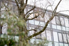 Die 87-Jährige war qualvoll in ihrem Zimmer erstickt. 